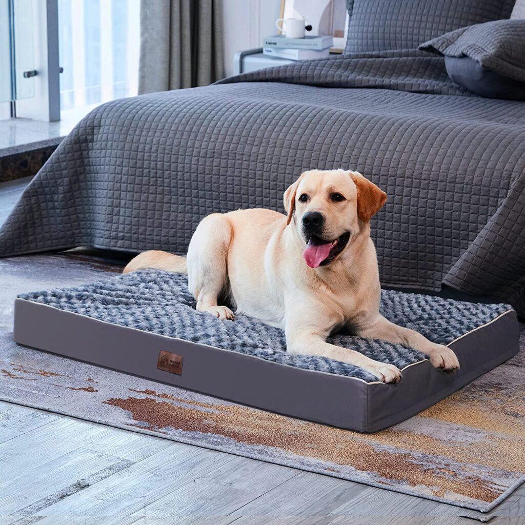 Orthopedic Dog Beds For Giant Breeds